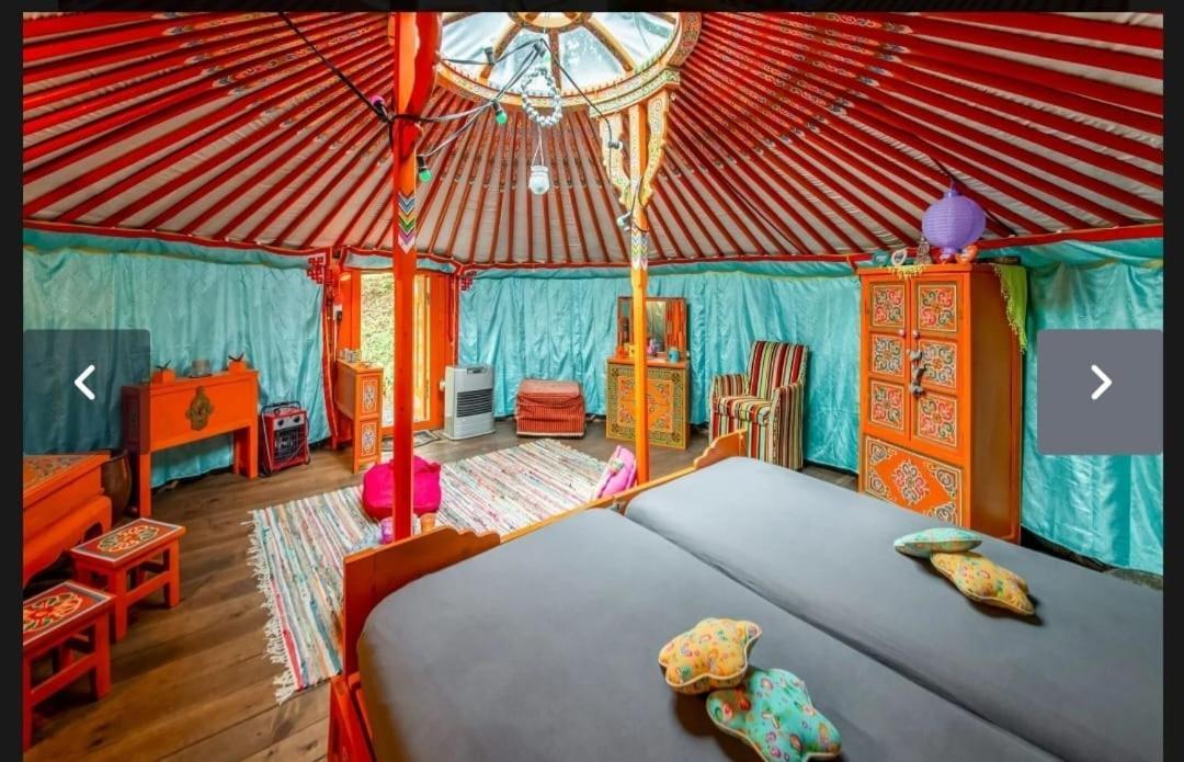 Yourte Mongole Et Cabane 호우팔리제 외부 사진